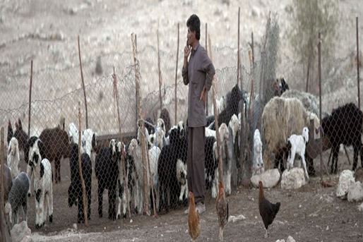 [query-result:espagetitle]